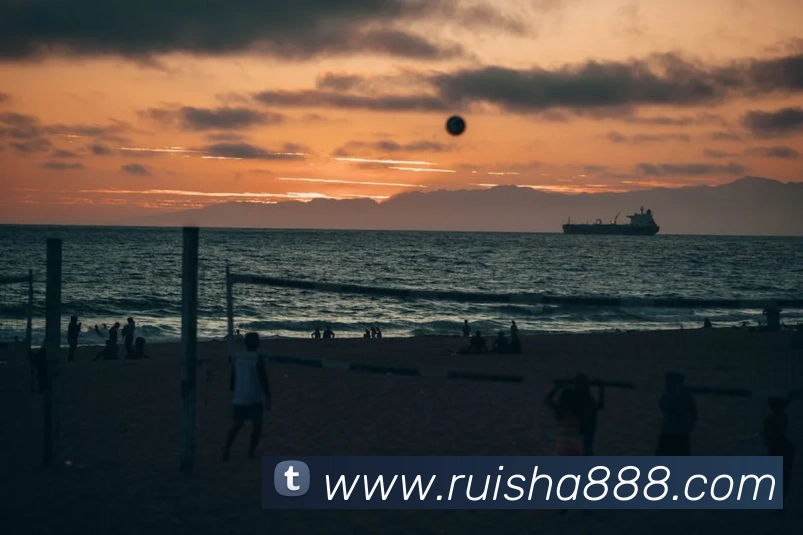 世界杯官网登录app品牌故事