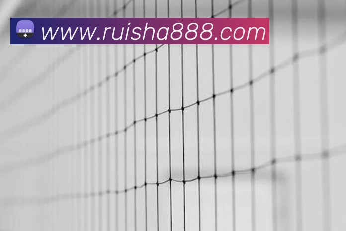 世界杯官网登录app服务体系